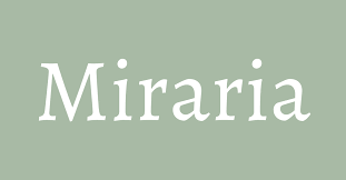 Miraria : quand une histoire devient une marque